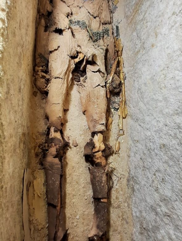 في تابوت مغلق من 4300 عام.. العثور على مومياء مصرية مغطاة برقائق الذهب –  صحيفة البلاد